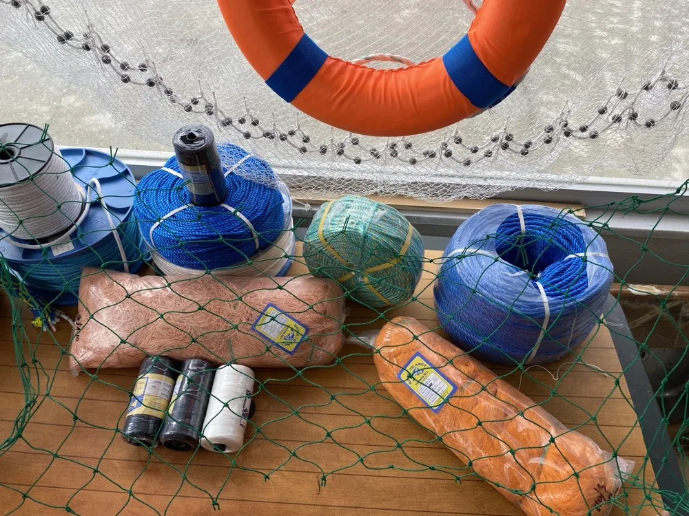 Güvenlik ve spor ağları